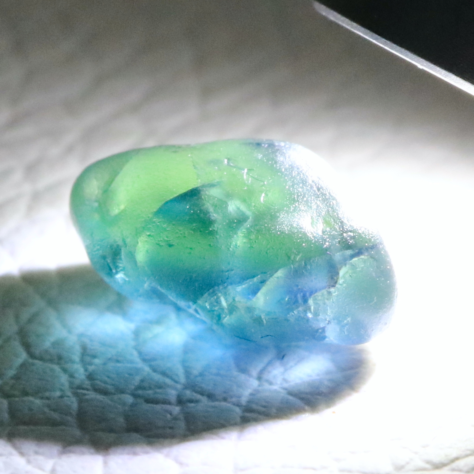 Parti Sapphire
