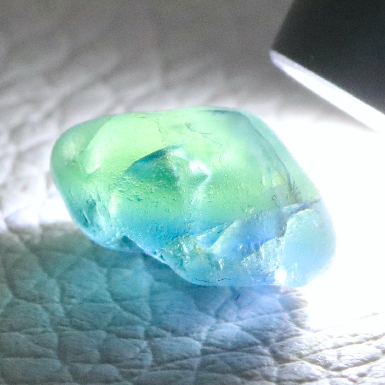 Parti Sapphire